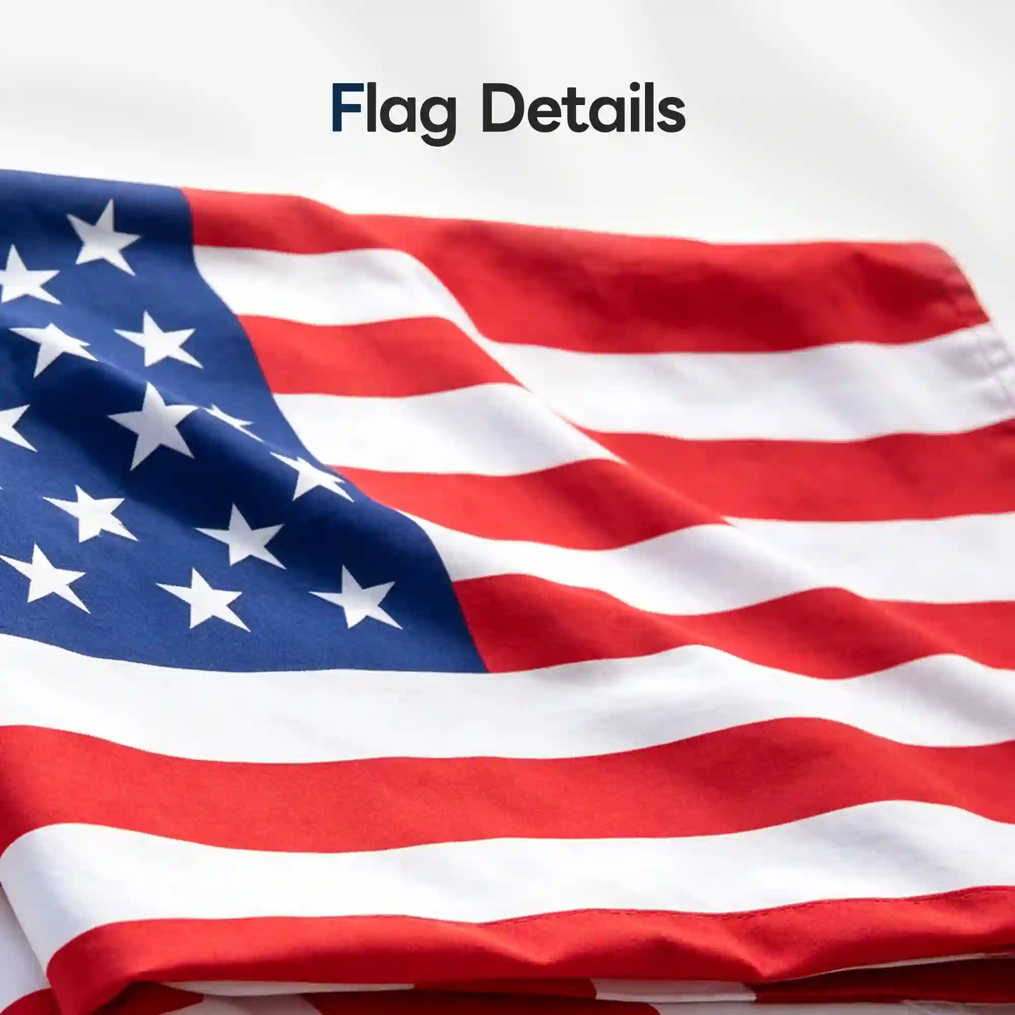 Boat Flag Pole 2 Pack